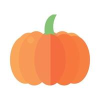pumpkin vegetable food vector