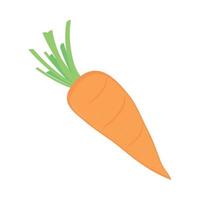 carrot vegetable food vector