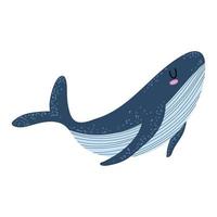 whale sea life vector