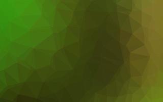 Light Green vector blurry triangle template.