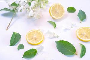 Creative layout made of lemon and leaves. Flat lay. Food concept. Lemon on white background photo