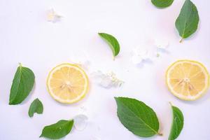 Creative layout made of lemon and leaves. Flat lay. Food concept. Lemon on white background photo