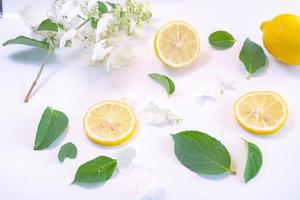 Creative layout made of lemon and leaves. Flat lay. Food concept. Lemon on white background photo