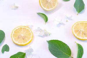 Creative layout made of lemon and leaves. Flat lay. Food concept. Lemon on white background photo