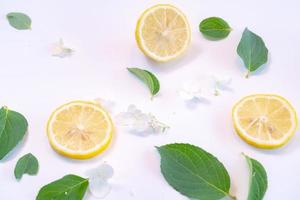 Creative layout made of lemon and leaves. Flat lay. Food concept. Lemon on white background photo