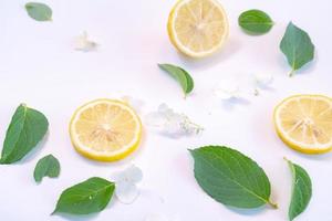 Creative layout made of lemon and leaves. Flat lay. Food concept. Lemon on white background photo