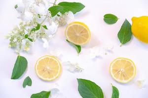 Creative layout made of lemon and leaves. Flat lay. Food concept. Lemon on white background photo