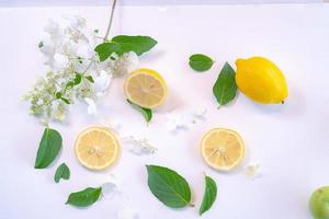 Creative layout made of lemon and leaves. Flat lay. Food concept. Lemon on white background photo
