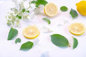 Creative layout made of lemon and leaves. Flat lay. Food concept. Lemon on white background photo