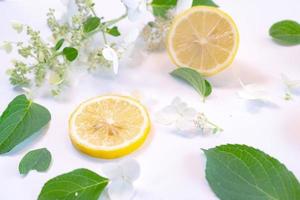 Creative layout made of lemon and leaves. Flat lay. Food concept. Lemon on white background photo