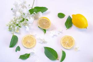Creative layout made of lemon and leaves. Flat lay. Food concept. Lemon on white background photo