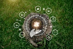 Concept eco. Lightbulb on green grass with sunset with icon and green background photo