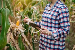 agricultor inteligente que utiliza la aplicación por conceptos de teléfonos inteligentes tecnología agrícola moderna e icono visual. foto