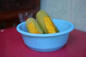 boiled corn in a blue container. good for people with diabetes photo