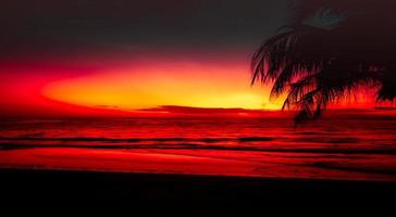 hermosa puesta de sol con palmeras en el fondo de la playa del mar tropical foto