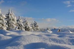 Christmas Landscape Background photo
