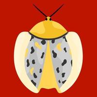 Koksi beetle vector illustration on red background. This insect belongs to the Coccinellidae family. They are round in shape, have color and spots on the back.