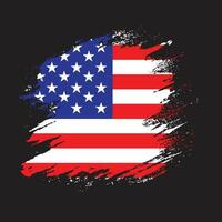 Professional American texture flag vector