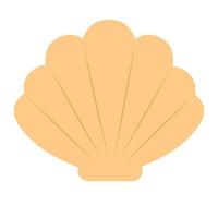 isolated seashell on a white background vector