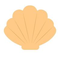 isolated seashell on a white background vector