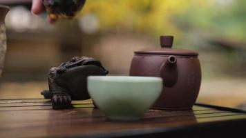 tea master washes away a figurine of a frog video