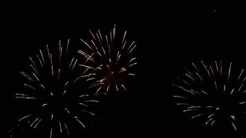 Colorful of fireworks at City day festival, Novosibirsk, Russia video