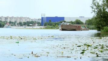 un' nave nel il mezzo di il acqua video