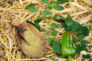 spicy pepper on olive wood photo