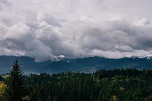 Coniferous Forest and Mountains Landscape Travel serene scenery photo