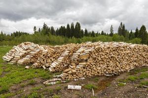 Pile of chopped firewood logs photo