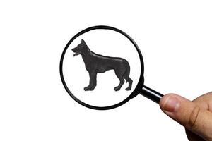 german shepherd dog, Silhouette of dog on white background, view through a magnifying glass, magnifying glass in hand photo