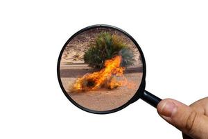 hierba seca quemada en el desierto del sahara, vista a través de una lupa sobre un fondo blanco, lupa en la mano. foto