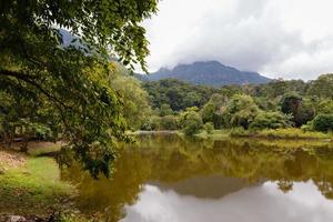 lake in the Kuching to Sarawak Culture village. Borneo, Malaysia. photo