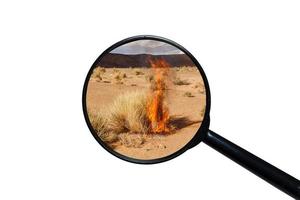 dry burning grass in the Sahara desert, view through a magnifying glass on a white background photo