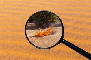 dry burning grass in the Sahara desert, view through a magnifying glass against the background of sand photo
