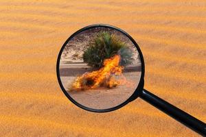 dry burning grass in the Sahara desert, view through a magnifying glass against the background of sand photo