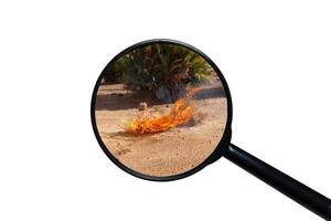dry burning grass in the Sahara desert, view through a magnifying glass on a white background photo