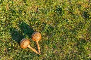 maracas lie on the green grass. Traditional musical instrument made of natural materials photo