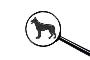 german shepherd dog, Silhouette of dog on white background, view through a magnifying glass photo