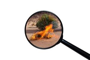 dry burning grass in the Sahara desert, view through a magnifying glass on a white background photo