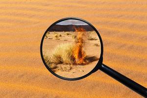 Dry burning bush in the Sahara desert, view through a magnifying glass against the background of sand photo