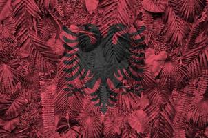 Albania flag depicted on many leafs of monstera palm trees. Trendy fashionable backdrop photo