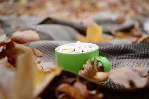 Autumn leaves and hot steaming cup of coffee lies on checkered plaid outdoors photo