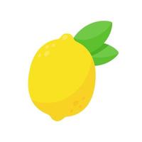 sour yellow lemon For cooking and lemon juice vector