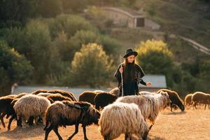 Female shepherd and flock of sheep at a lawn photo