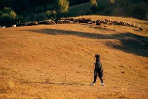 Female shepherd and flock of sheep at a lawn photo