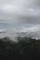 Coniferous Forest and Mountains Landscape Travel serene scenery photo