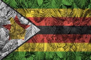 Zimbabwe flag depicted on many leafs of monstera palm trees. Trendy fashionable backdrop photo