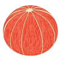 Clean grapefruit icon, isometric style vector