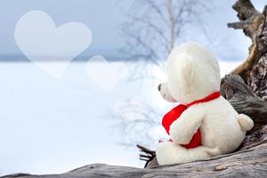 A small Teddy bear looks out at the lake. The concept of sadness and waiting for a miracle photo